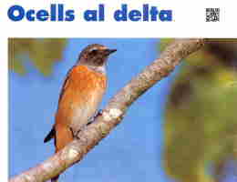 Ocells del Delta